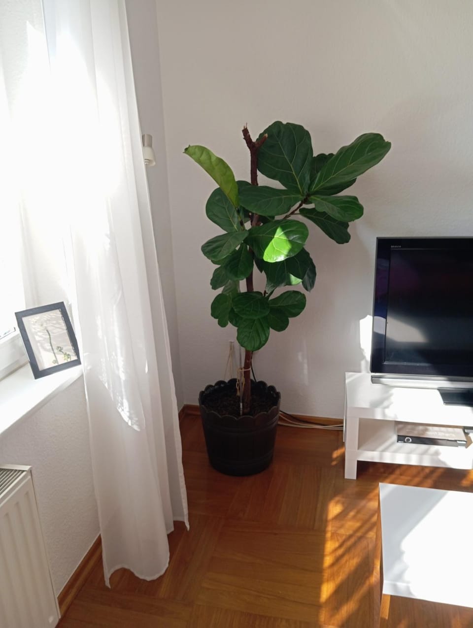 Wohnung im Grünen in Messenähe Apartment in Krefeld