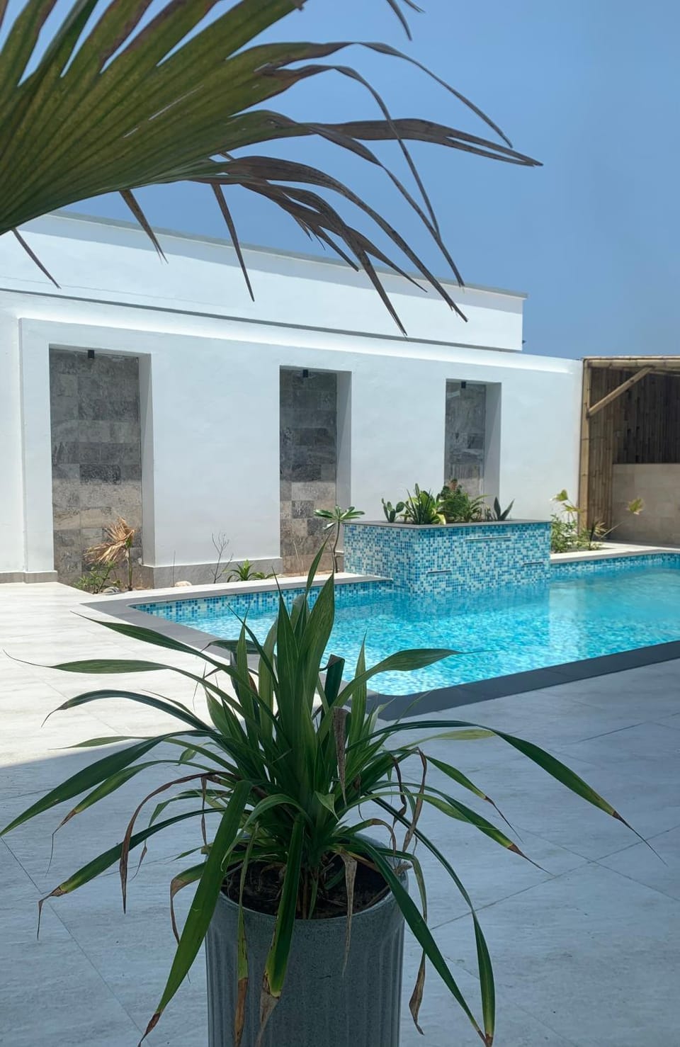 Pool view, Swimming pool
