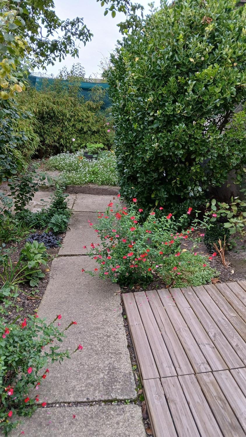 Garden, Balcony/Terrace