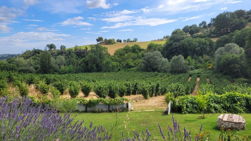 Natural landscape, Garden view