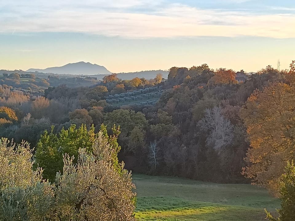 La Nocciolaia Farm Stay in Umbria