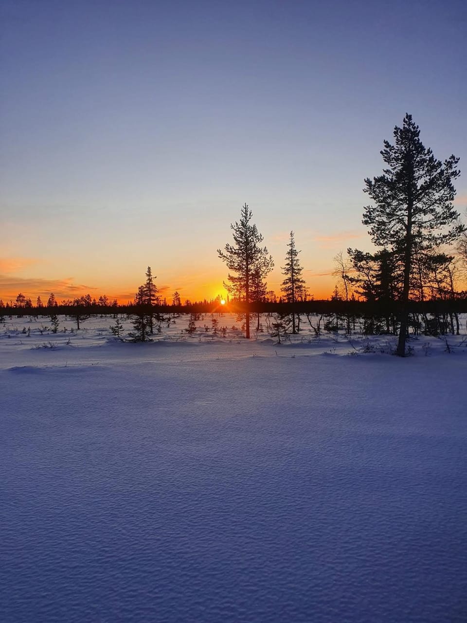 Sunrise