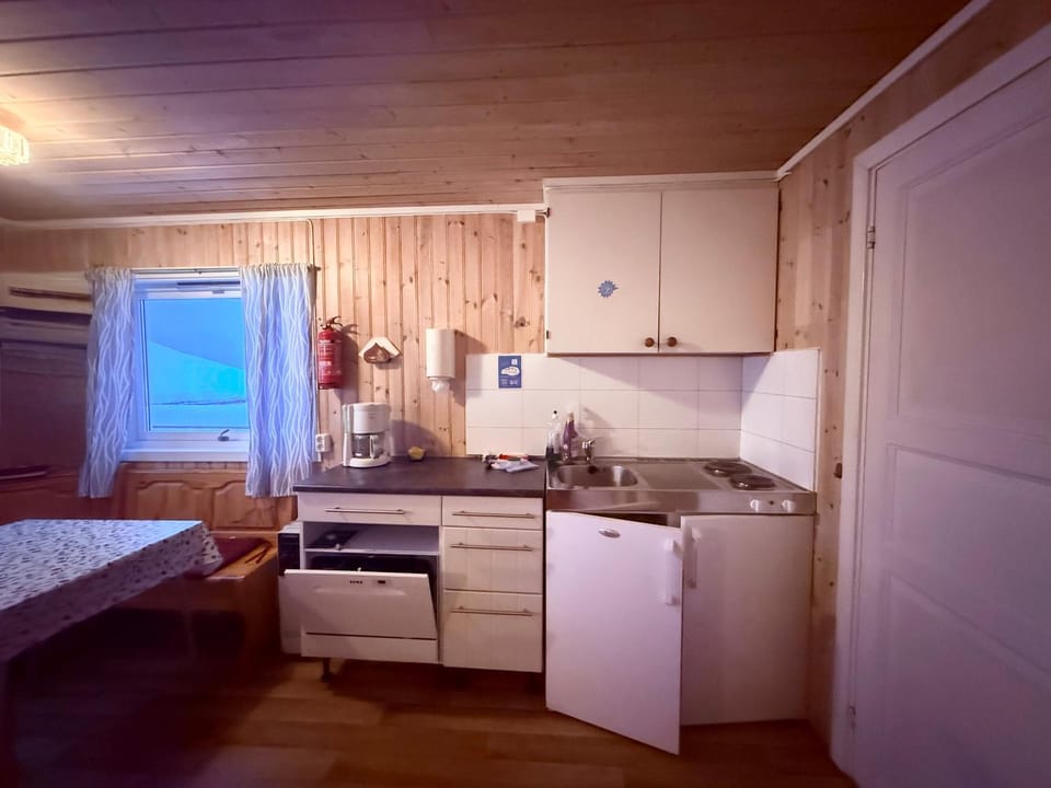 Kitchen or kitchenette, Dining area, stove
