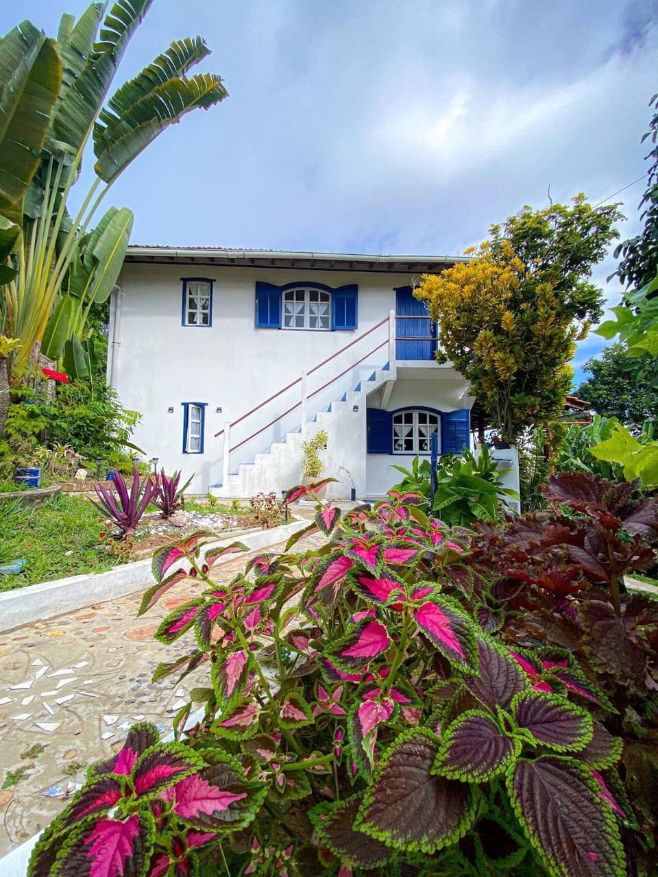 Garden view