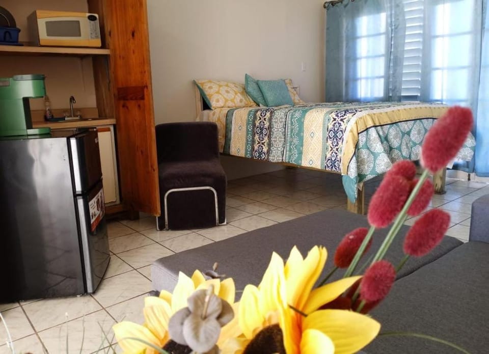 Ridgeway Guest House Bed and Breakfast in Montego Bay