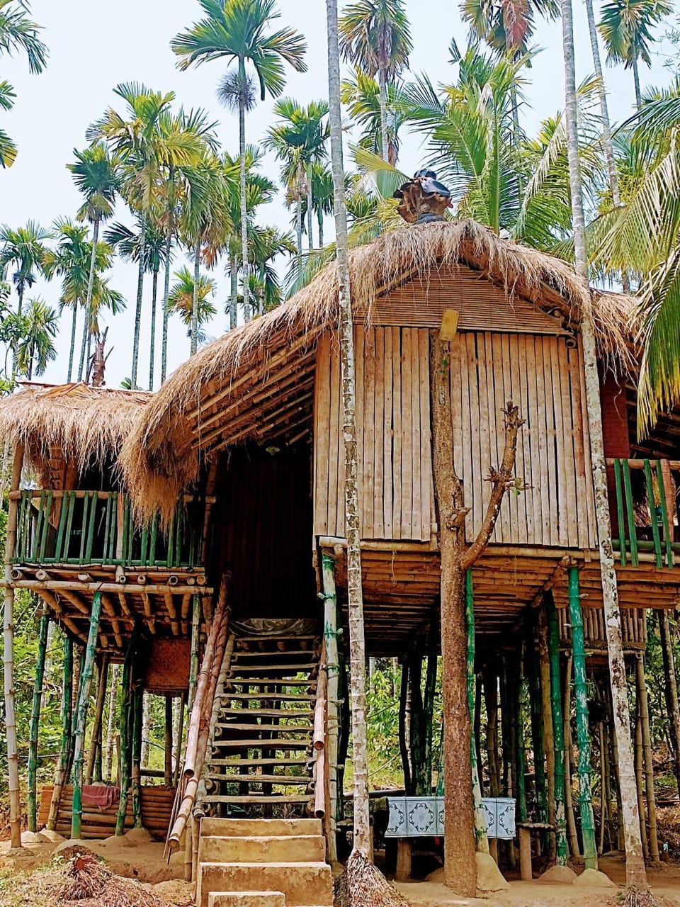 Greenways Tree House and Mud House Vacation rental in Kerala