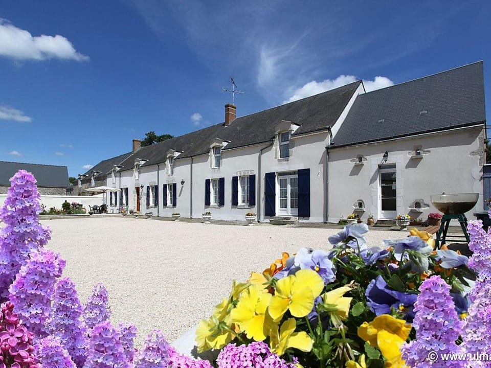 Ferme rénovée près de Beaugency, 4 chambres, petit-déjeuner maison, proche Loire à Vélo - FR-1-590-445 Bed and Breakfast in Centre-Val de Loire