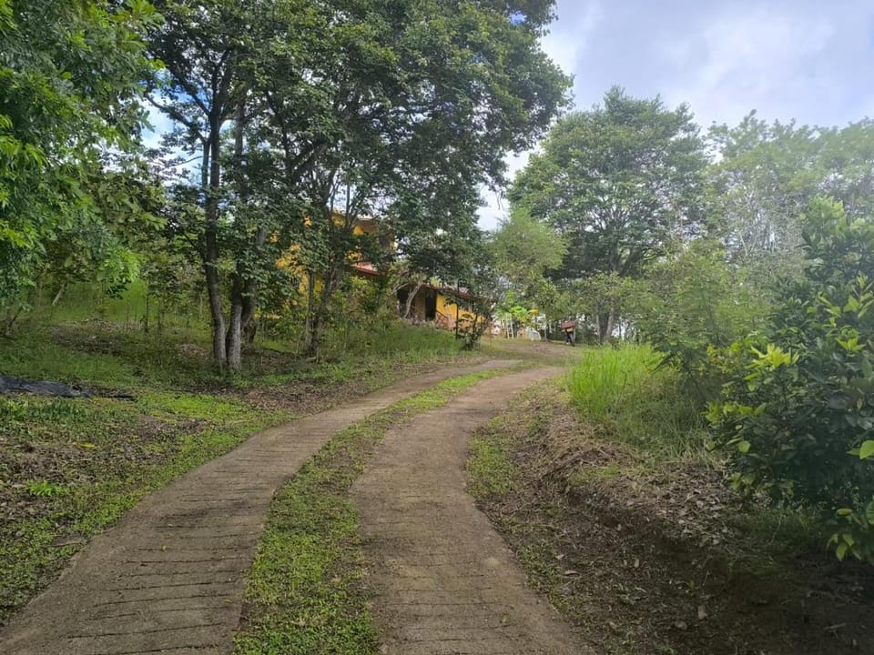 Natural landscape