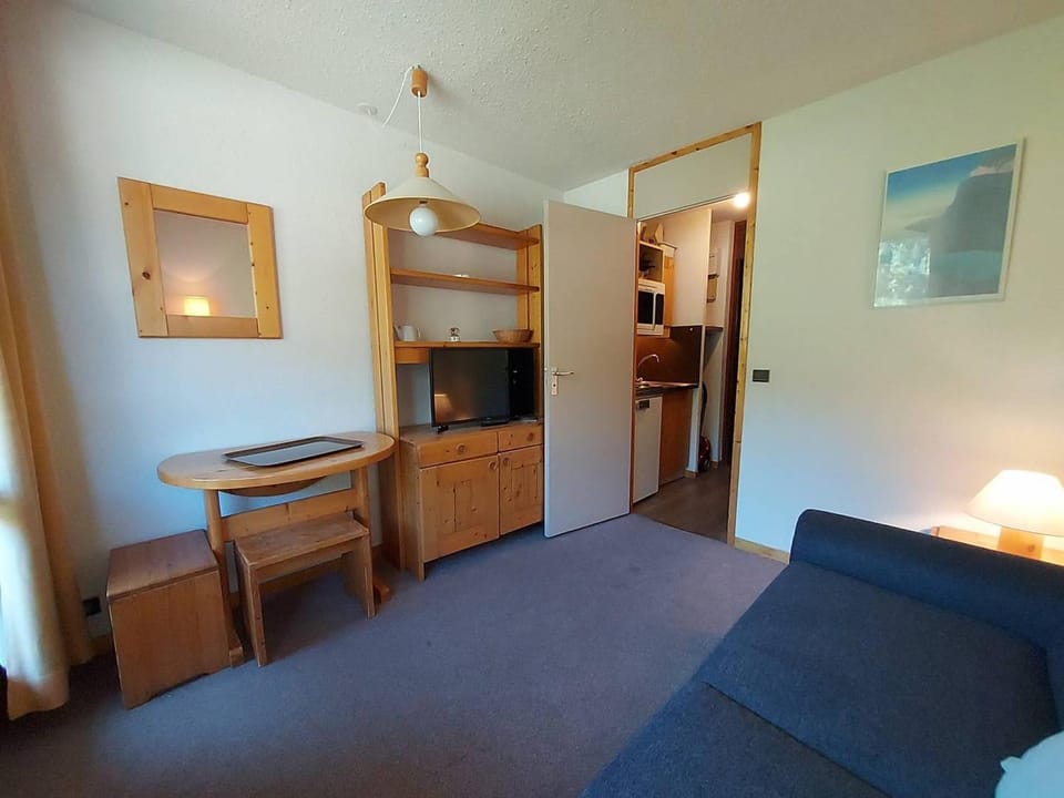 Studio skis aux pieds, animaux admis, balcon sud - FR-1-356-522 Apartment in Les Avanchers-Valmorel