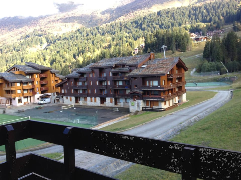 Studio skis aux pieds, animaux admis, balcon sud - FR-1-356-522 Apartment in Les Avanchers-Valmorel