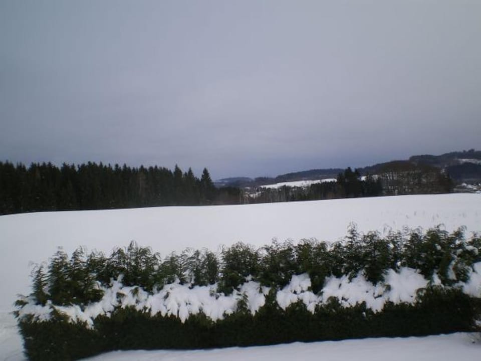 Chambre spacieuse avec piscine, spa et hammam - FR-1-589-721 Bed and Breakfast in Vosges