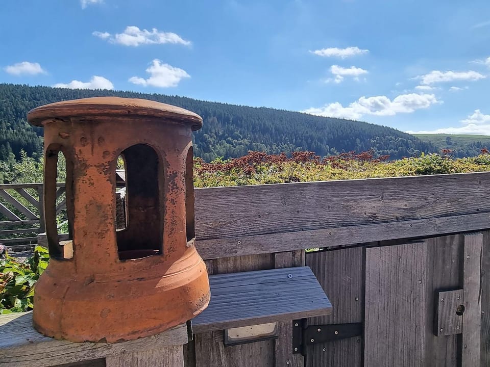 Charmantes chambres d'hôtes en montagne, animaux admis sur accord - FR-1-589-729 Bed and Breakfast in Vosges