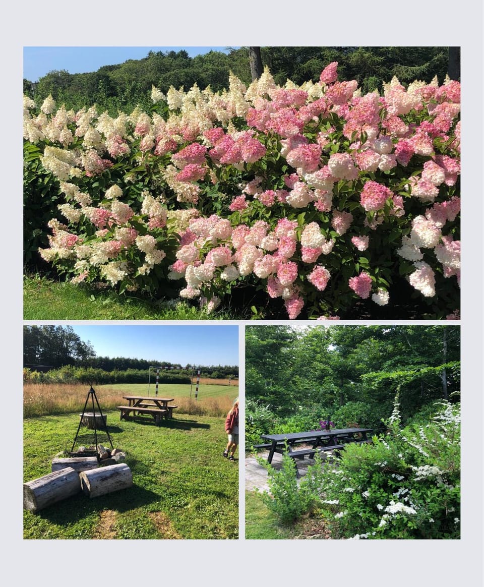 Egebjerggaard Bed & Breakfast Bed and Breakfast in Region of Southern Denmark