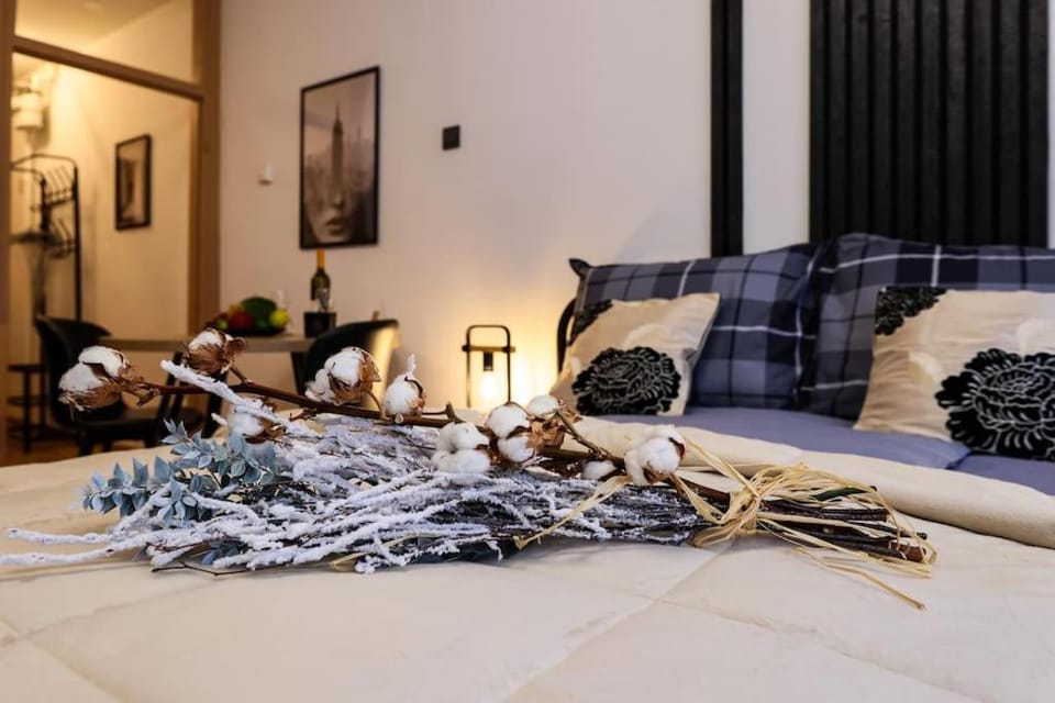 Charm & Cozy studio Ravnice Apartment in City of Zagreb