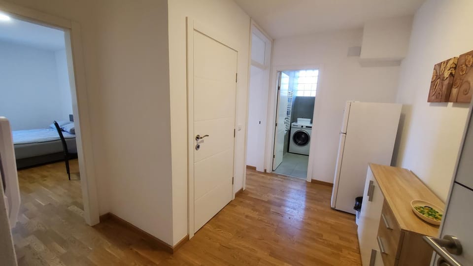 Center & River Park View Guesthouse Apartment in Vojvodina