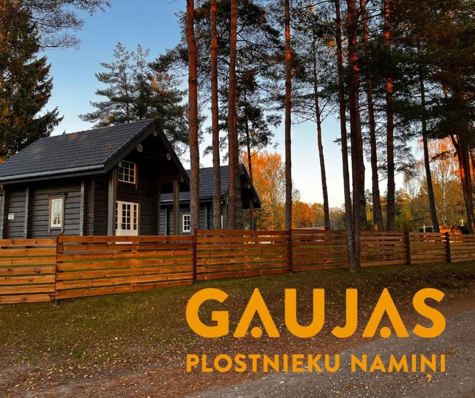 Gaujas Plostnieku Namiņi House in Estonia