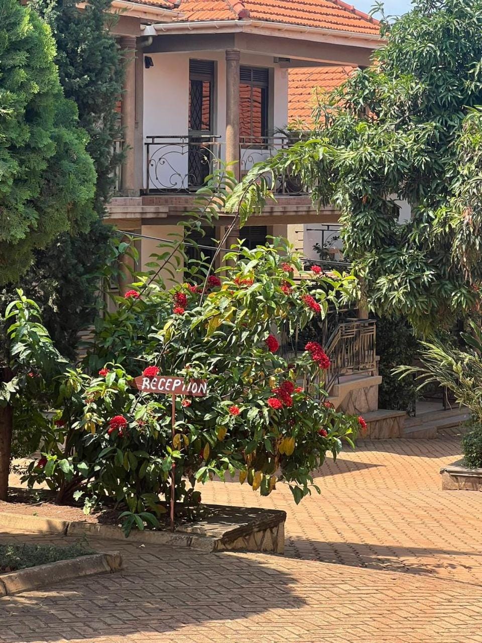 Garden view