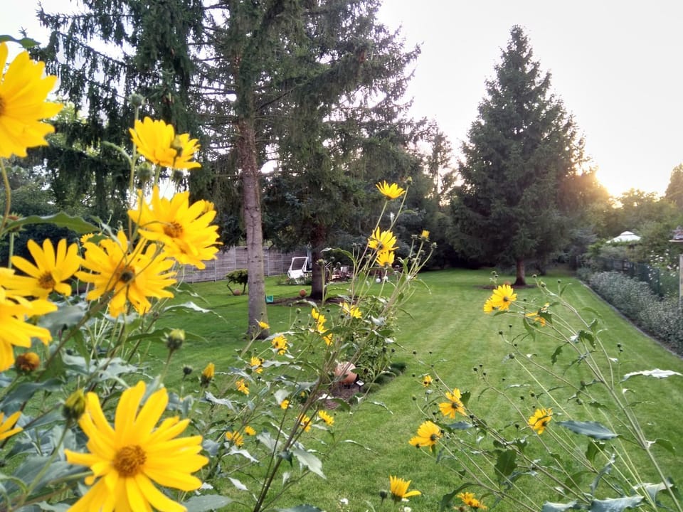 Garden, Garden view