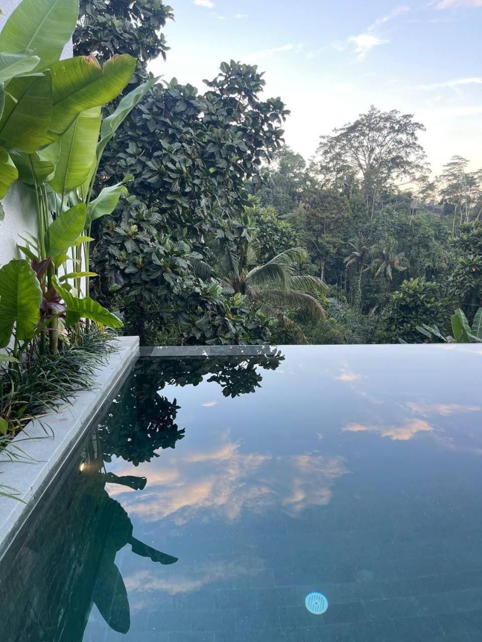 Day, Natural landscape, Garden, Pool view, Swimming pool