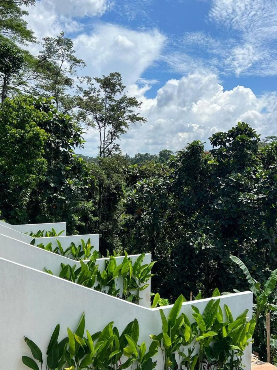 Day, Natural landscape, Garden, Garden view