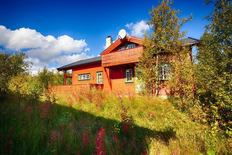 Property building, Summer