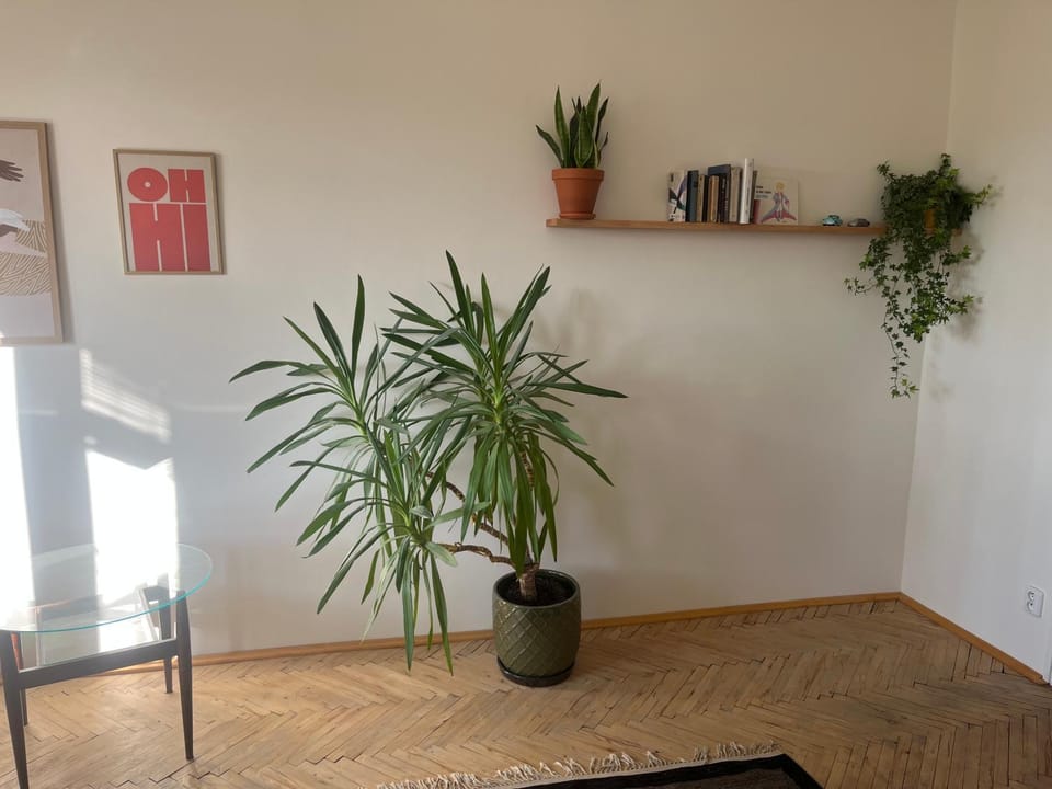 Stylový a slunný byt s uměleckým nádechem v blízkosti centra Apartment in Prague