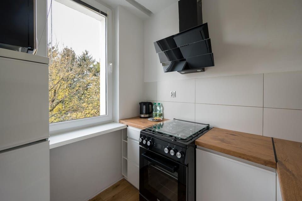 Kitchen or kitchenette, oven, stove