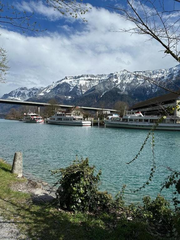 Studio 104 - Riverside Apartment in Interlaken