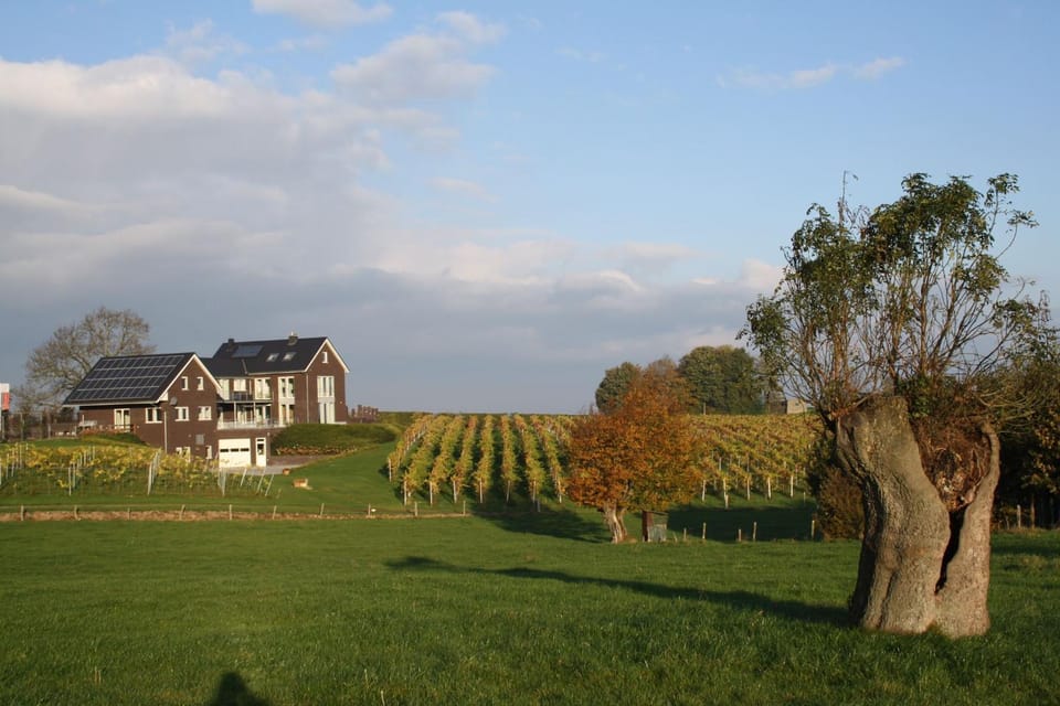 Natural landscape, Garden, Garden view