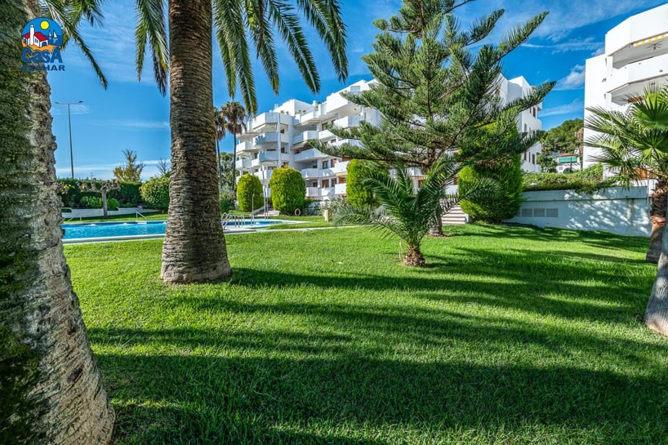 Garden, Swimming pool