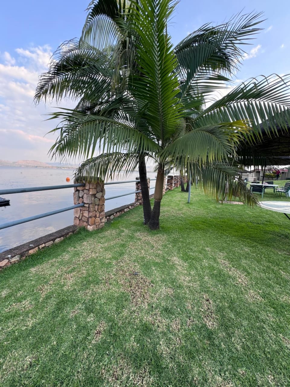 Natural landscape, Garden, Garden view, Lake view, River view