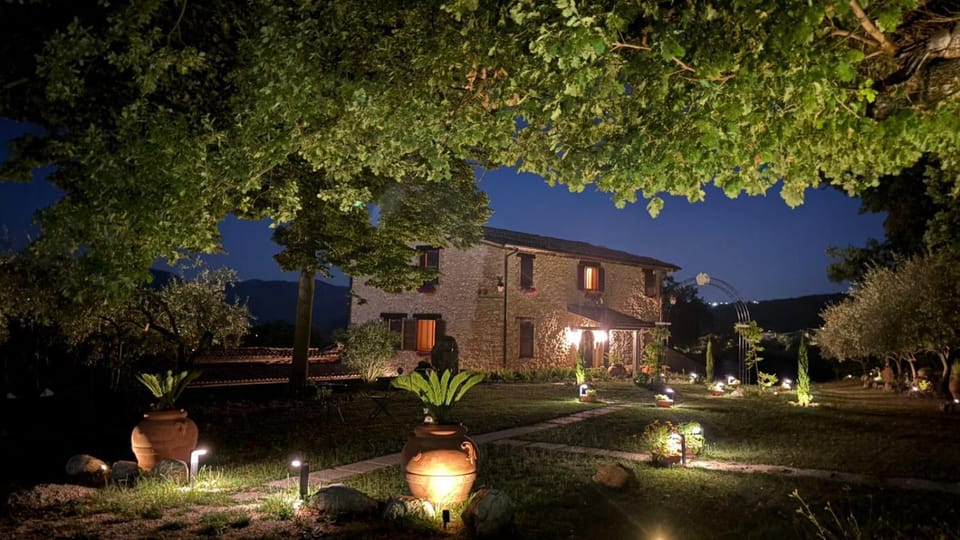 Property building, Night, Garden, Garden view