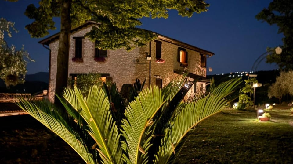 Property building, Night, Garden, Garden view
