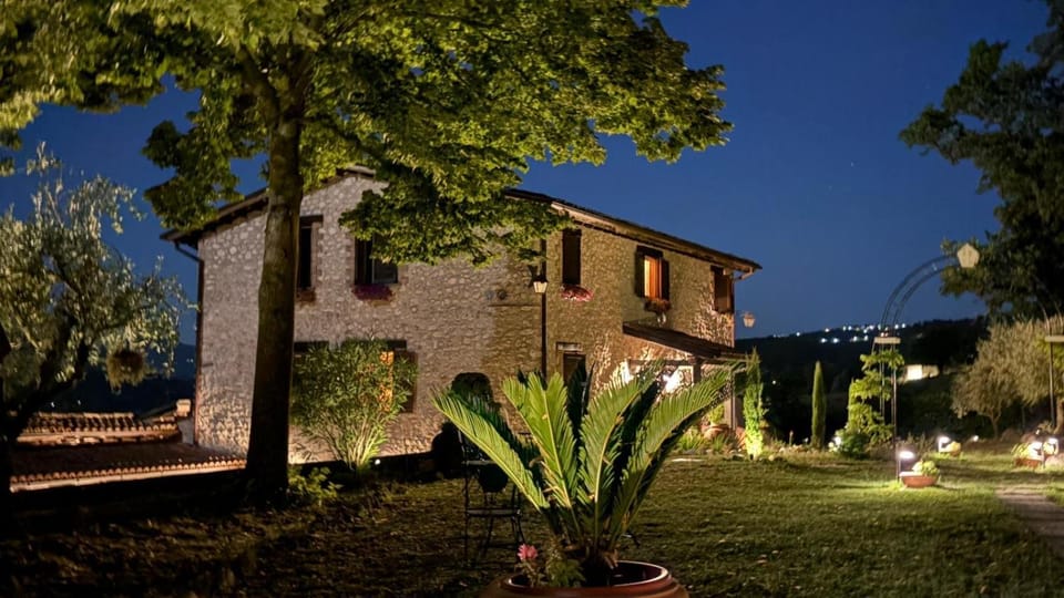 Property building, Night, Garden, Garden view