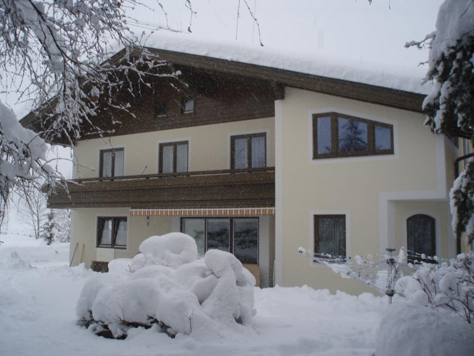 Property building, Garden view