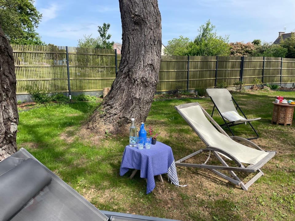 Day, Garden, Garden view, sunbed