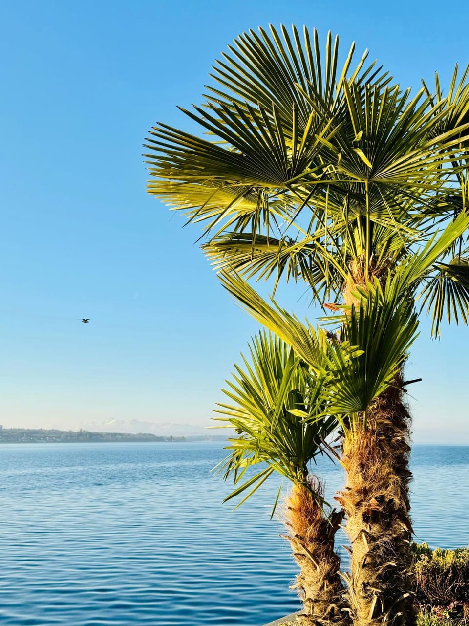1 A Lage direkte Seenähe Apartment in Konstanz