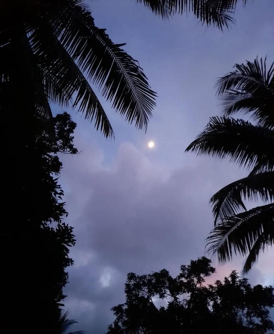 Night
