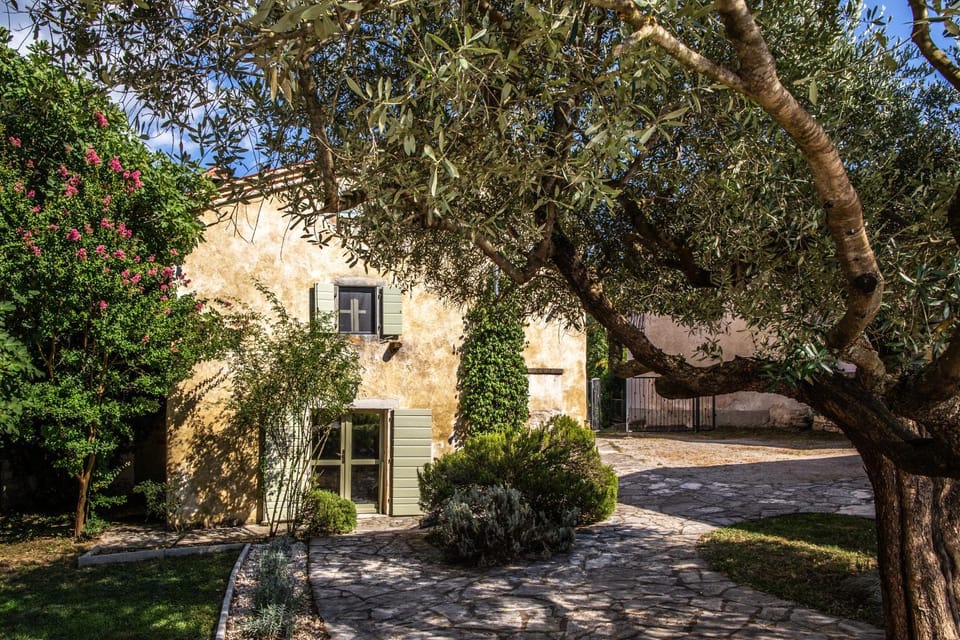 Property building, Garden, Garden view