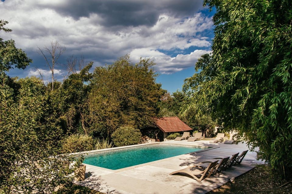 Garden, Garden view, Swimming pool, Swimming pool, sunbed