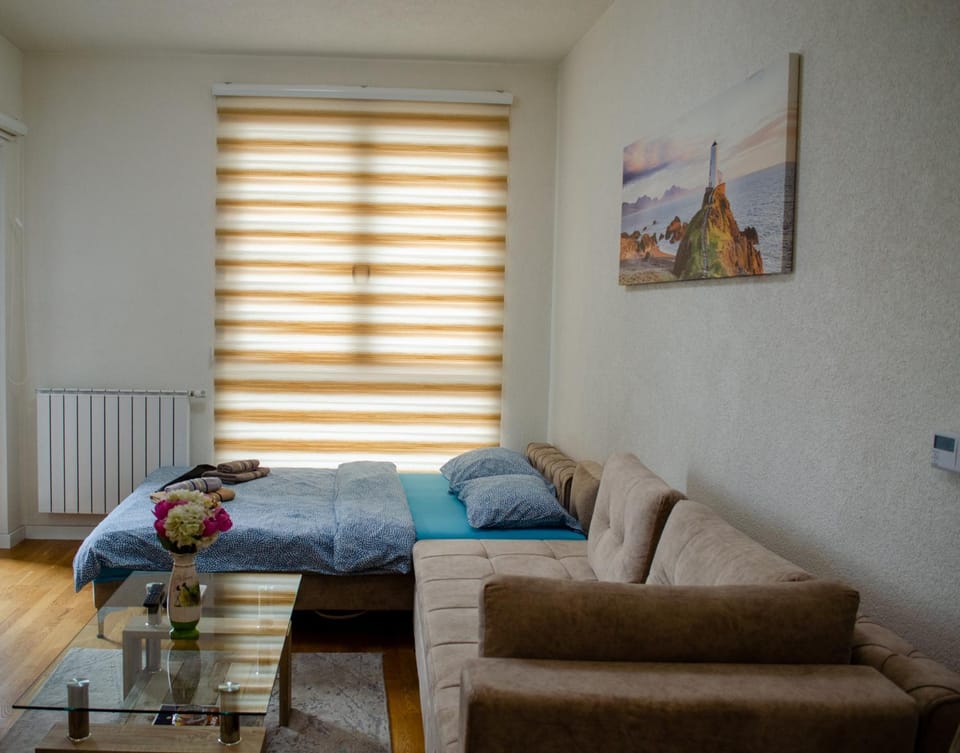 Comfort apartment Bulevar with garage Apartment in Sarajevo