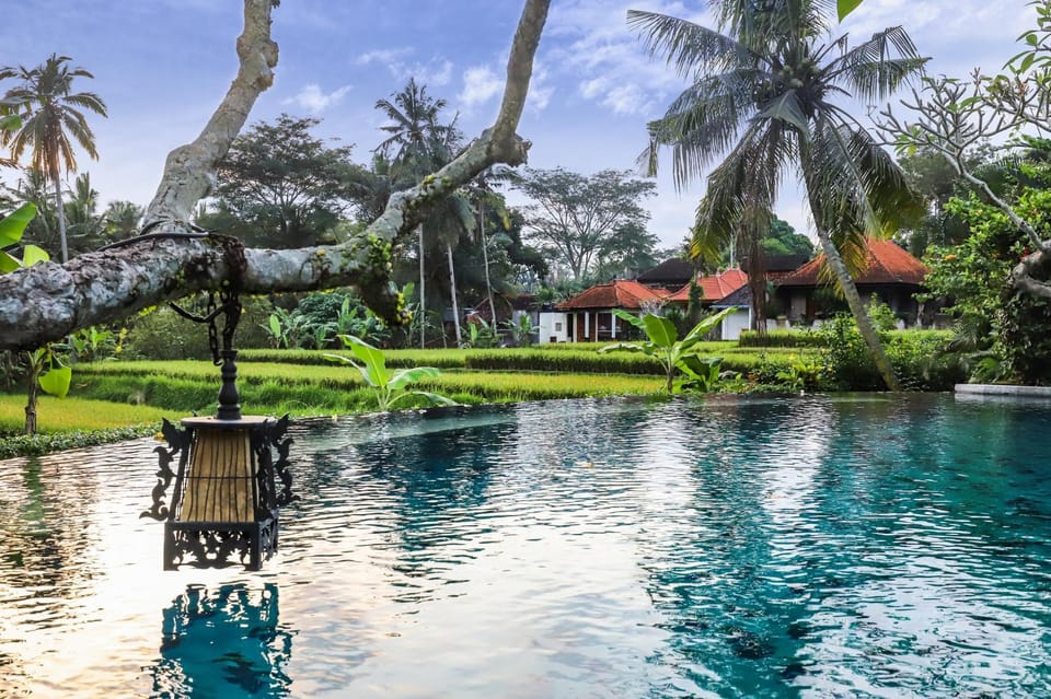 Day, Natural landscape, Pool view, Swimming pool