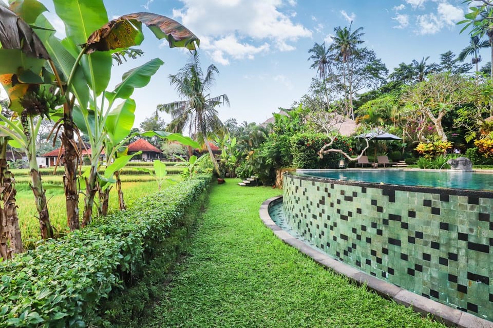 Natural landscape, Garden, Garden view, Swimming pool
