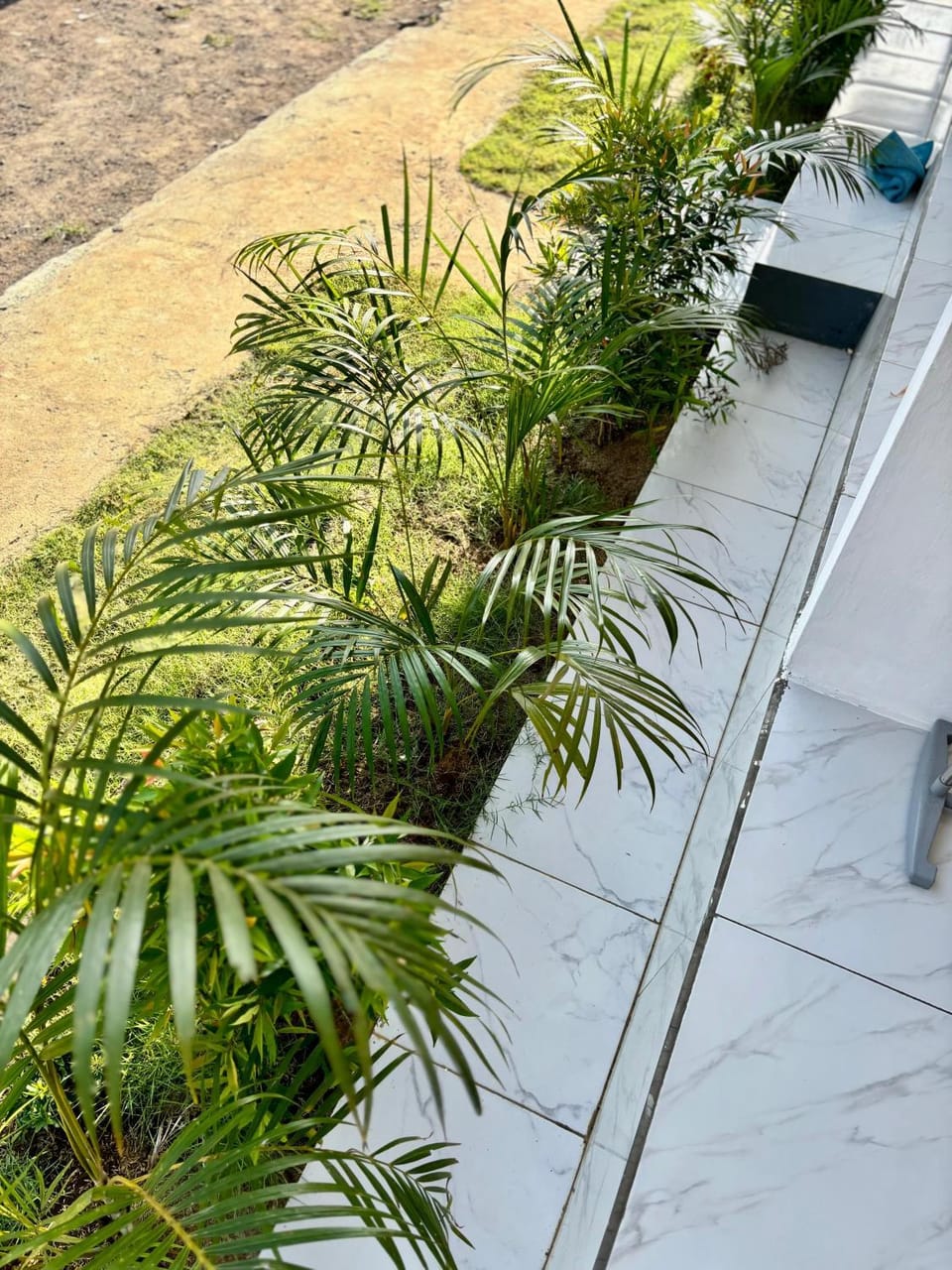Garden view