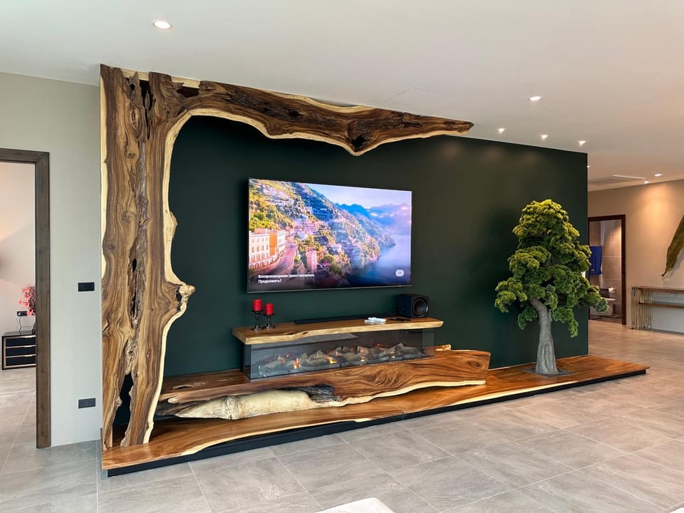 TV and multimedia