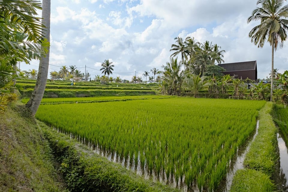 Natural landscape
