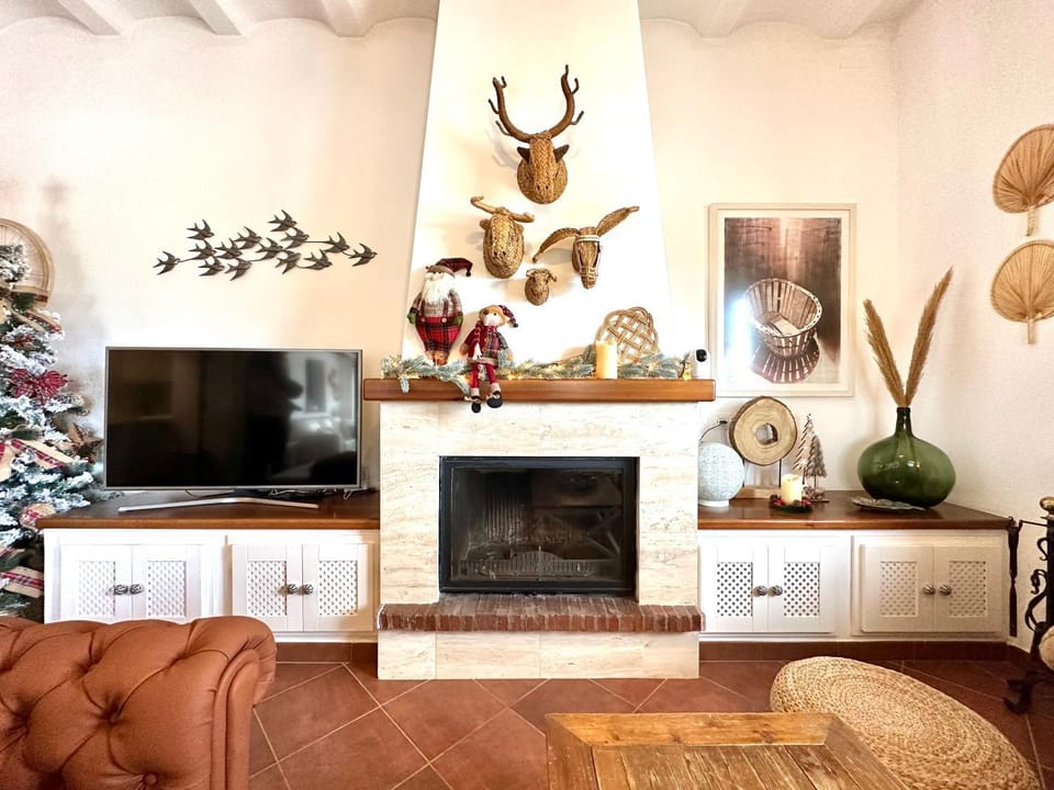 TV and multimedia, Living room, fireplace