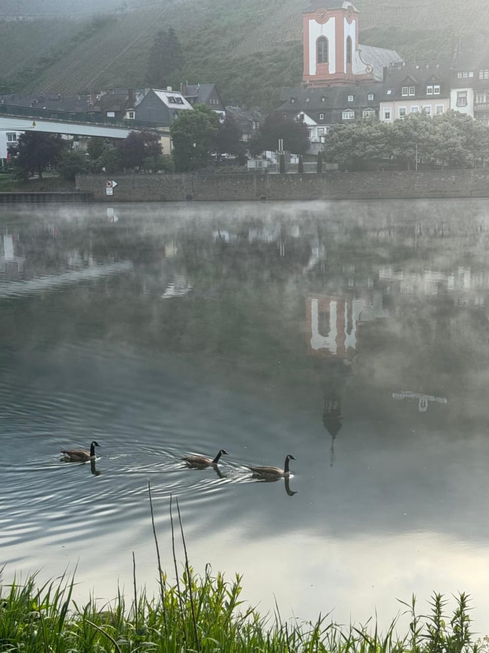 FeWo Kaamter F erkelsmarkt Apartment in Cochem-Zell