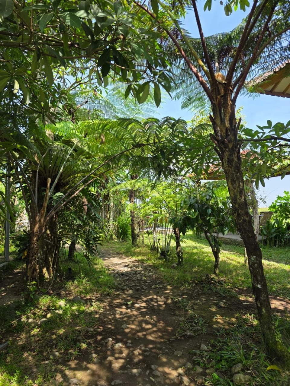 Restaurant/places to eat, Day, Garden, Garden view