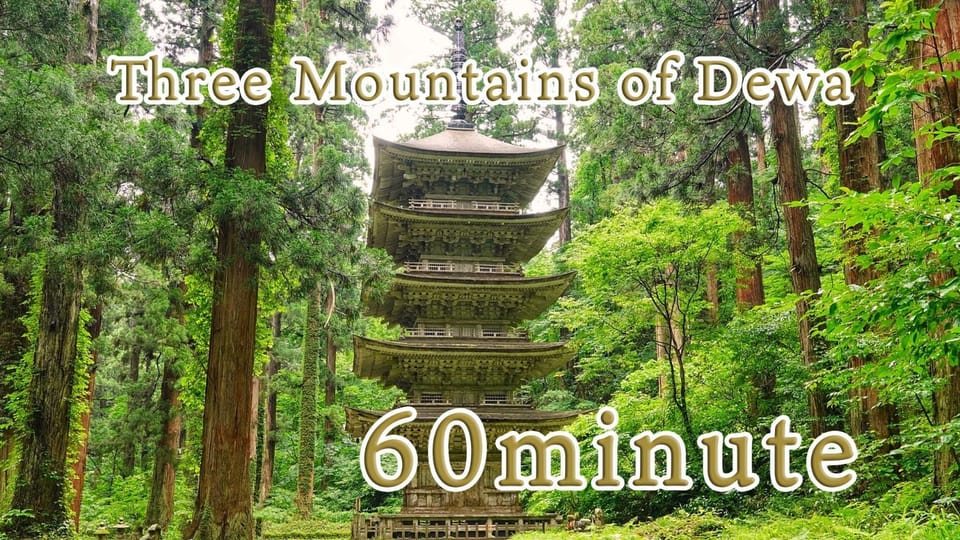Nearby landmark